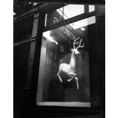 Designer's Window, Bleecker Street 3