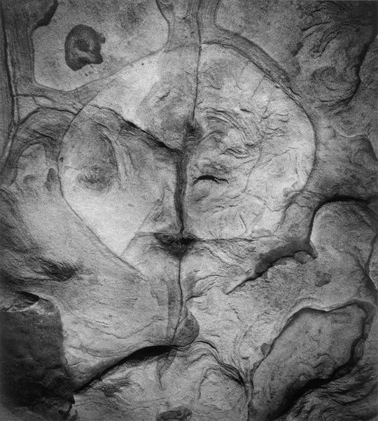 Black and White Photograph de Wynn Bullock - Roca de Point Lobos 1973