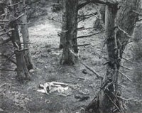 Woman with Dog in Forest 4