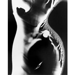 Nude Photogram 12