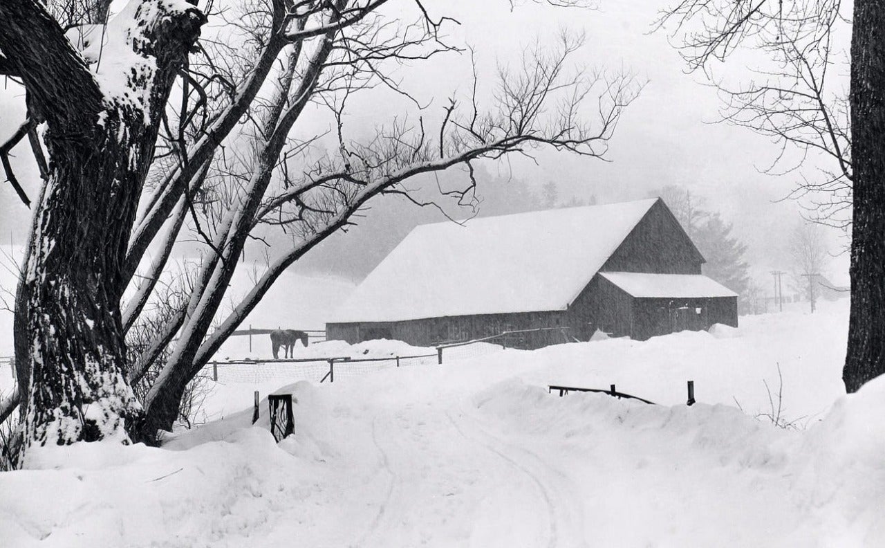 Marion Post Wolcott Black and White Photograph - Barnyard during Blizzard, Barnard, near Woodstock, Vermont