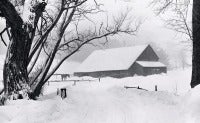 Vintage Barnyard during Blizzard, Barnard, near Woodstock, Vermont