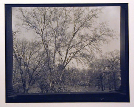 Josef Sudek Black and White Photograph – Baum aus der Porch