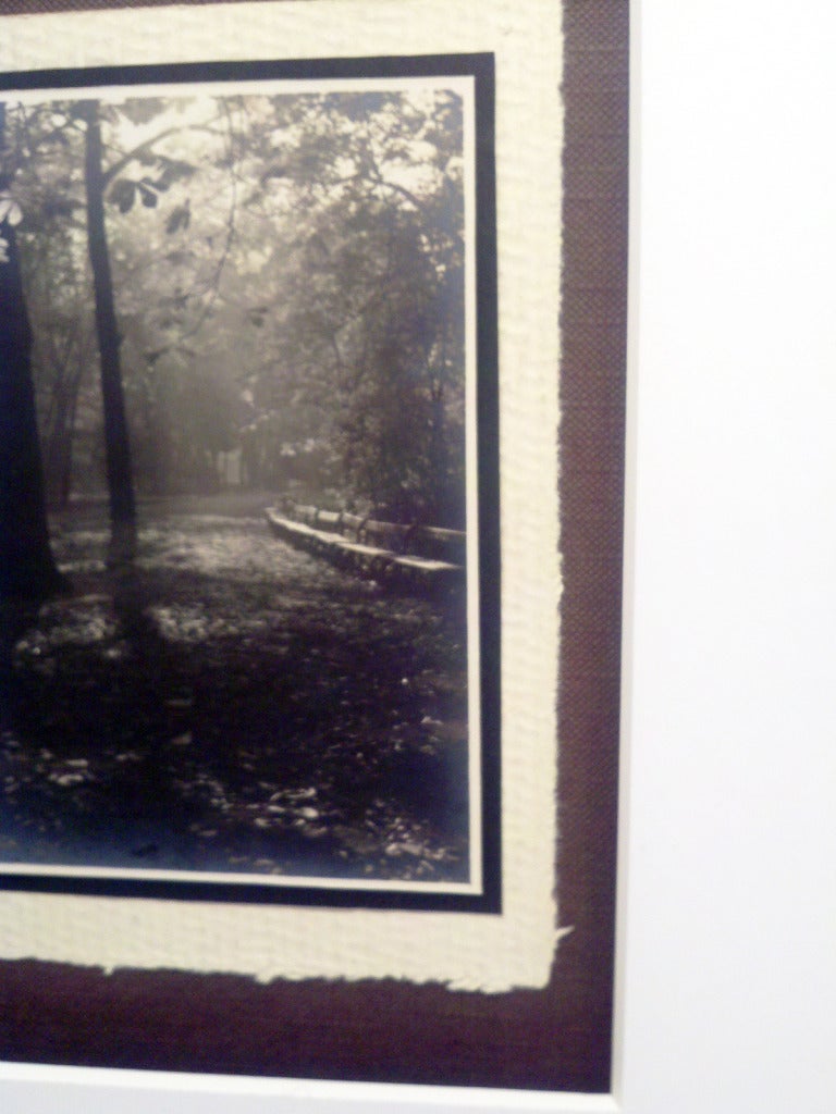 Bancos en el Paseo del Parque - Photograph de Josef Sudek
