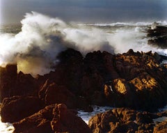 Storm Point Lobos