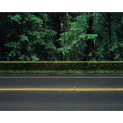 Avenue of the Giants 7