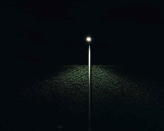 Sparky Campanella Color Photograph - Moulton Avenue