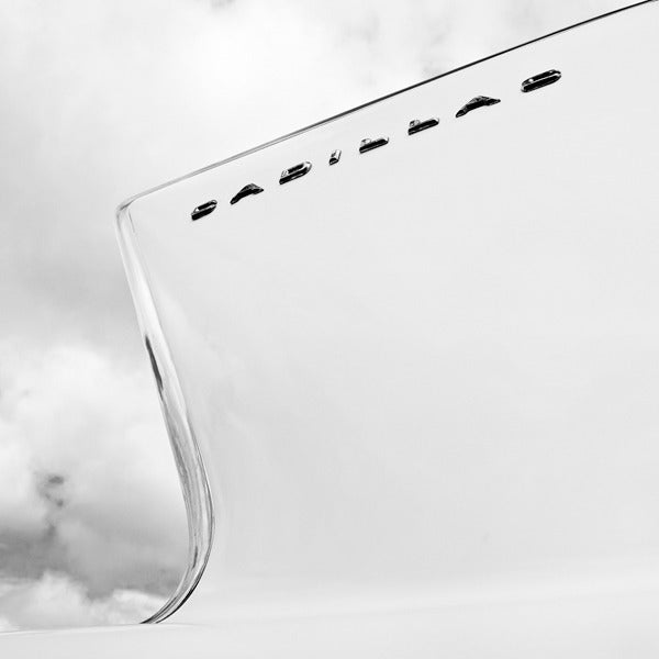 Still-Life Photograph Paul Coghlin - Tailfin, Étude II