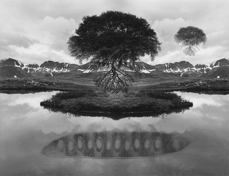 Jerry Uelsmann Landscape Photograph - Rock Tree