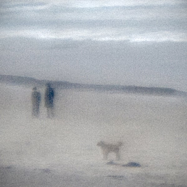 Color Photograph Dale Johnson - Stroll d'après-midi