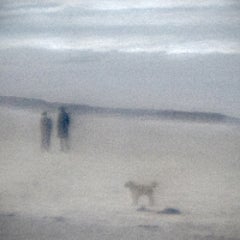 Afternoon Stroll 5