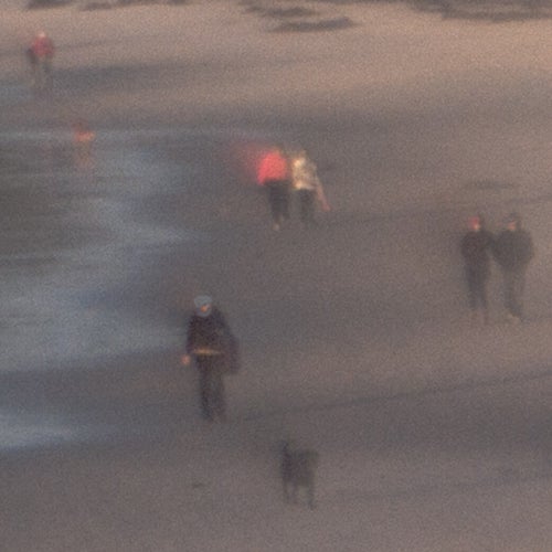 Dale Johnson Color Photograph - Dog Walking at Sunset