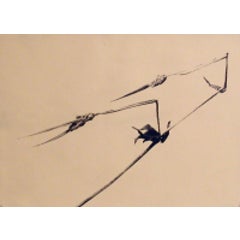 Storks Bill, Storchschnabel 5