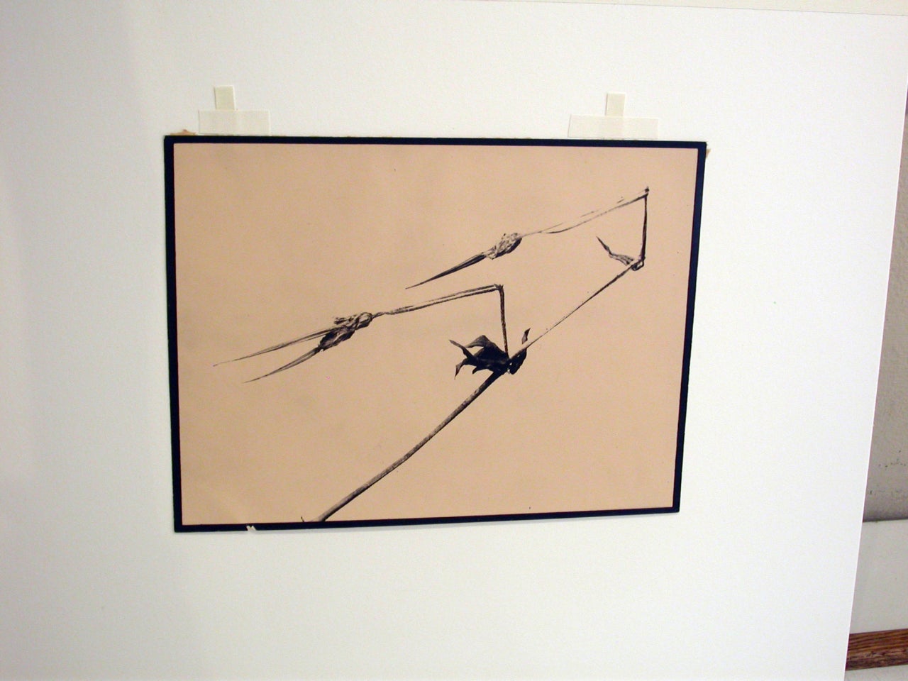 Storks Bill, Storchschnabel (Beige), Still-Life Photograph, von W. Jentzsch