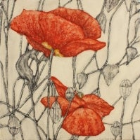 poppies