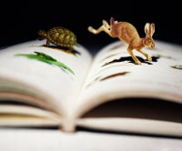 Tale