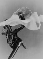 Shell & Clamp I