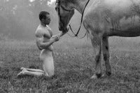 White Horse 3