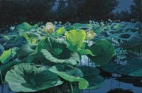 Full Moon Lotus No. 7