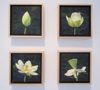 Lotus Blossom Series VII