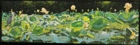 Lotus Lilies No. 26