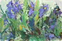 Iris 2