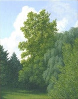 Morning Landscape