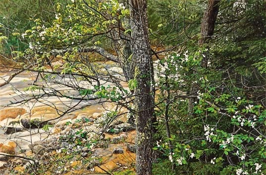 Flowering Dogwood Rocky Stream - Painting by Jeffrey Vaughn