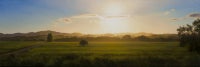Valley with Poplars at Sunset