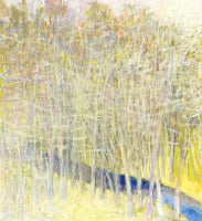 At the Banks of a Brook