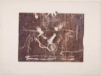 Helen Frankenthaler, The Clearing, 1991, (3/28), woodcut
