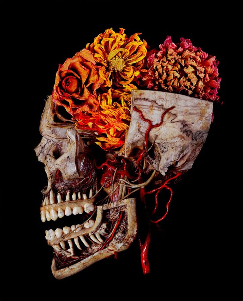 Steven Katzman Color Photograph - Flowers For Gretchen