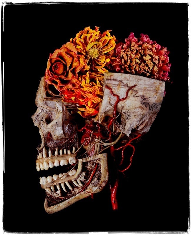 Flowers For Gretchen - Photograph by Steven Katzman