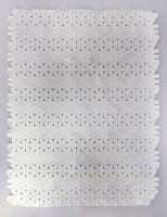 Bicolored Structure with Regular Pattern nr00907