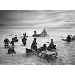 Nenets, an indigenous nomadic people 5