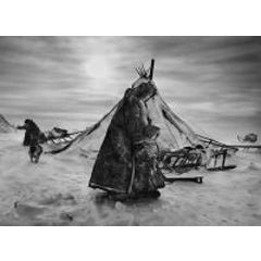 Nenets, an indigenous nomadic people 6