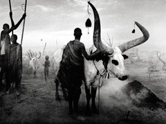 Groupe Dinka au camp de bovins de Pagarau, sud du Sudan