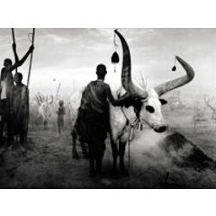 Dinka Group at Pagarau Cattle Camp, Southern Sudan 6