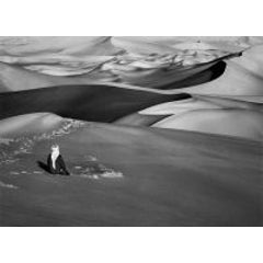 Sahara, Algeria 5