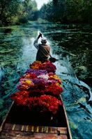 Flower Seller, Dal Lake, Kashmir