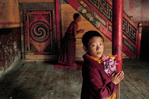 Steve McCurry Color Photograph - Young monk with flowers, Larung Gar, Kham, Tibet
