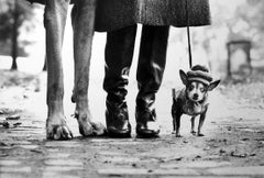 Vintage New York (Great Dane Legs, Boots and Chihuahua)