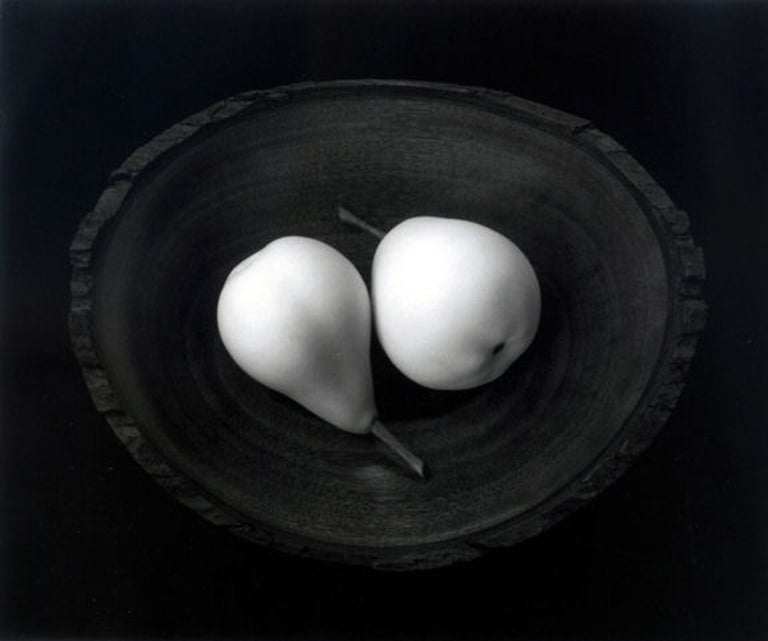Two pears, Cushing, Maine - Photograph by Paul Caponigro