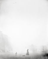 Une promenade dans le brouillard