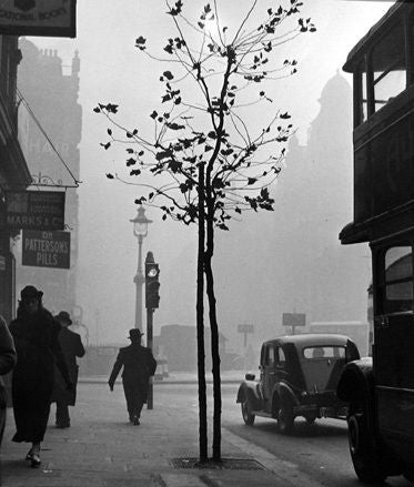 View from 84 Charing Cross Road towards Cambridge Circus [stop light] - Photograph by Wolfgang Suschitzky
