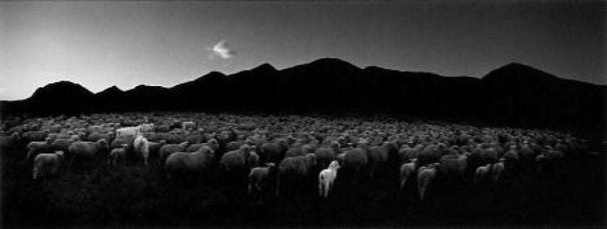 Pentti Sammallahti Black and White Photograph - Barun-Khemchik, Tuva