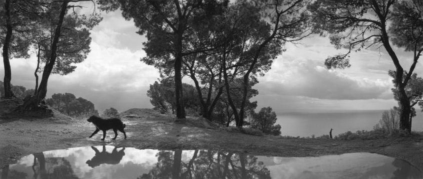 Pentti Sammallahti Landscape Photograph - Cilento, Italy