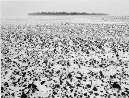 Pentti Sammallahti Landscape Photograph - Jurmo, Finland