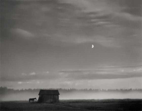 Pyhäjärvi, Finland (Horse & Barn)