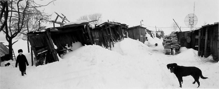 Pentti Sammallahti Black and White Photograph - Solovki, White Sea, Russia (White-Eyed Dog & Boy)